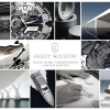 Ocean Sport™ Chronograph Ltd. Ed._Inspiration Board