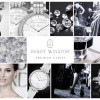 Premier Ladies 36 mm_Inspiration Board